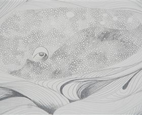 Whale Bone Gallery - Accommodation VIC 5