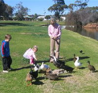 Roy Little Park Merredin - Accommodation VIC
