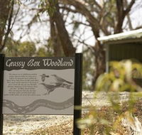Kindra Forest - Accommodation VIC