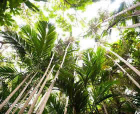 Bushwalking On Keswick Island - Accommodation VIC 1