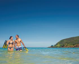 Scuba Diving On Keswick Island - Accommodation VIC 2