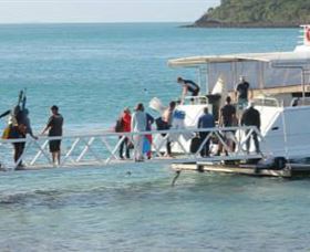 Scuba Diving On Keswick Island - Accommodation VIC 0