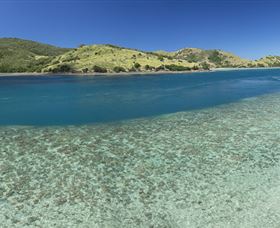 Scuba Diving On Keswick Island - Accommodation VIC 1