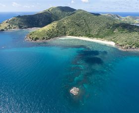 Scuba Diving On Keswick Island - Accommodation VIC 3