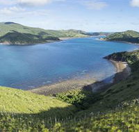 The Cremer Shipwreck Dive Site - Keswick Island - Accommodation VIC