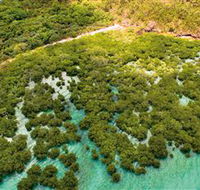 The Singapore Shipwreck Dive Site - Keswick Island - Accommodation VIC