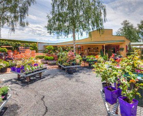 Springhill Nursery - Accommodation VIC 2