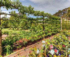 Springhill Nursery - Accommodation VIC 5