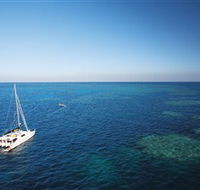 Bait Reef and Garys Lagoon Dive Site - Accommodation VIC