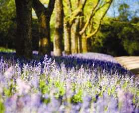Duneira, Mt Macedon - Accommodation VIC 4