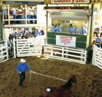 Gracemere Exhibition Complex - Accommodation VIC