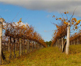 Charles Sturt University Winery Wagga Wagga - Accommodation VIC 3