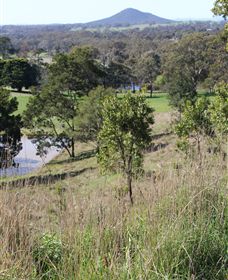 Mt Piper Nature Conservation Reserve - Accommodation VIC 1