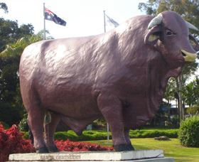 Rockhampton Bull Statues - Accommodation VIC 0