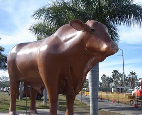 Rockhampton Bull Statues - Accommodation VIC 3