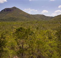 Kutini-Payamu Iron Range National Park CYPAL - Accommodation VIC