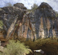 Borenore Karst Conservation Reserve - Accommodation VIC