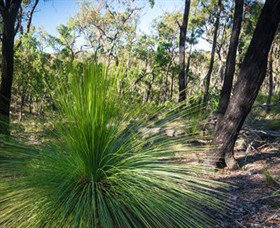Brisbane Ranges National Park - Accommodation VIC 0