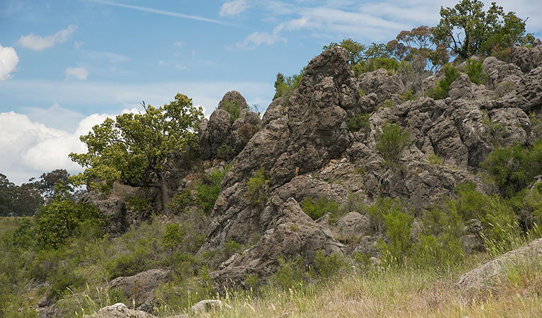 Lidster NSW Accommodation VIC