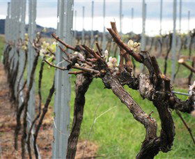 Stockmans Ridge Wines - Accommodation VIC 1