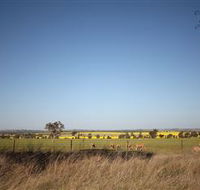 Cootamundra Bird Walk - Accommodation VIC