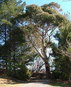 Habitat Vineyard - Accommodation VIC 1