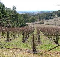 Habitat Vineyard - Accommodation VIC