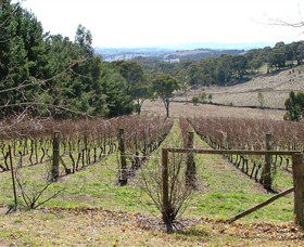 Habitat Vineyard - Accommodation VIC 0