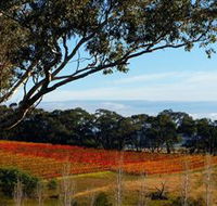 Bloodwood Estate - Accommodation VIC