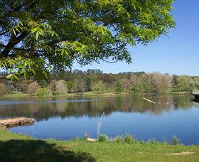 Lake Canobolas Reserve - Accommodation VIC 0