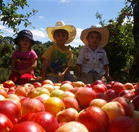 Bonny Glen Fruits - Accommodation VIC