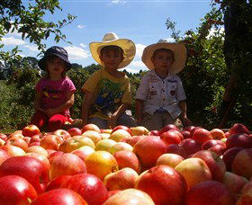 Bonny Glen Fruits - Accommodation VIC 0