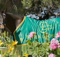 Living Legends The International Home of Rest for Champion Horses - Accommodation VIC