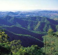 Kroombit Tops National Park - Accommodation VIC