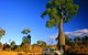 Kroombit Tops National Park - thumb 1