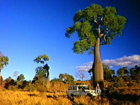 Kroombit Tops National Park - Accommodation VIC 1