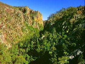 Kroombit Tops National Park - Accommodation VIC 2