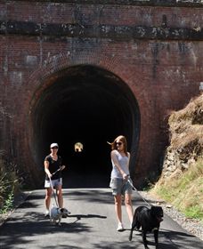 Cheviot Tunnel - Accommodation VIC 0