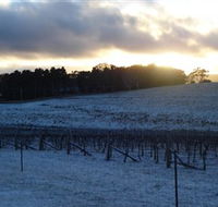 Charles Sturt University Winery - Accommodation VIC