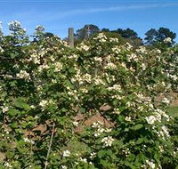 Huntley Berry Farm - Accommodation VIC