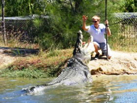 Koorana Crocodile Farm - Accommodation VIC 1