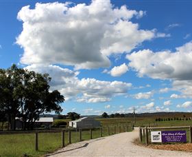 Short Sheep Micro-Winery - Accommodation VIC 8
