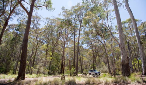 Coolah Tops National Park - Accommodation VIC 0
