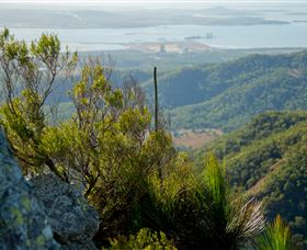 Mount Larcom Climb - Accommodation VIC 1