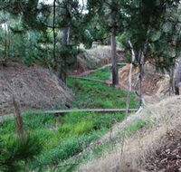 Lions Club Bicentennial Walk - Accommodation VIC
