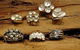 Ixtlan Melbourne Jewellery Store - thumb 2