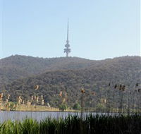 Black Mountain Peninsula - Accommodation VIC