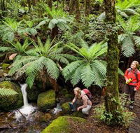 Baw Baw National Park - Accommodation VIC