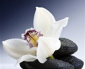 H2O Spa - Accommodation VIC 1