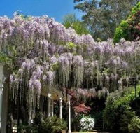 Nooroo Gardens - Accommodation VIC